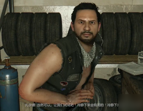 消逝的光芒支线任务萤火虫如何通关