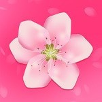 夜色app播放器下载安装