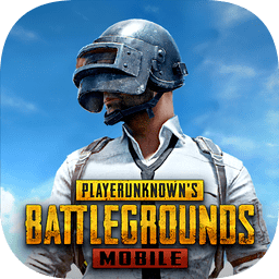 PUBG国际服2.4绿体内透_logo